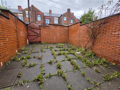 Picture 7